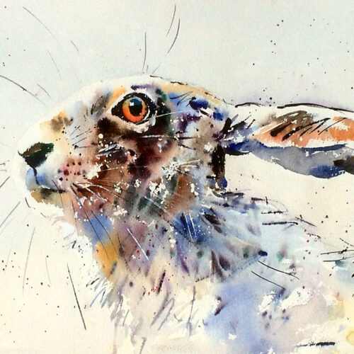 Jake Winkle -  Going wild in watercolour