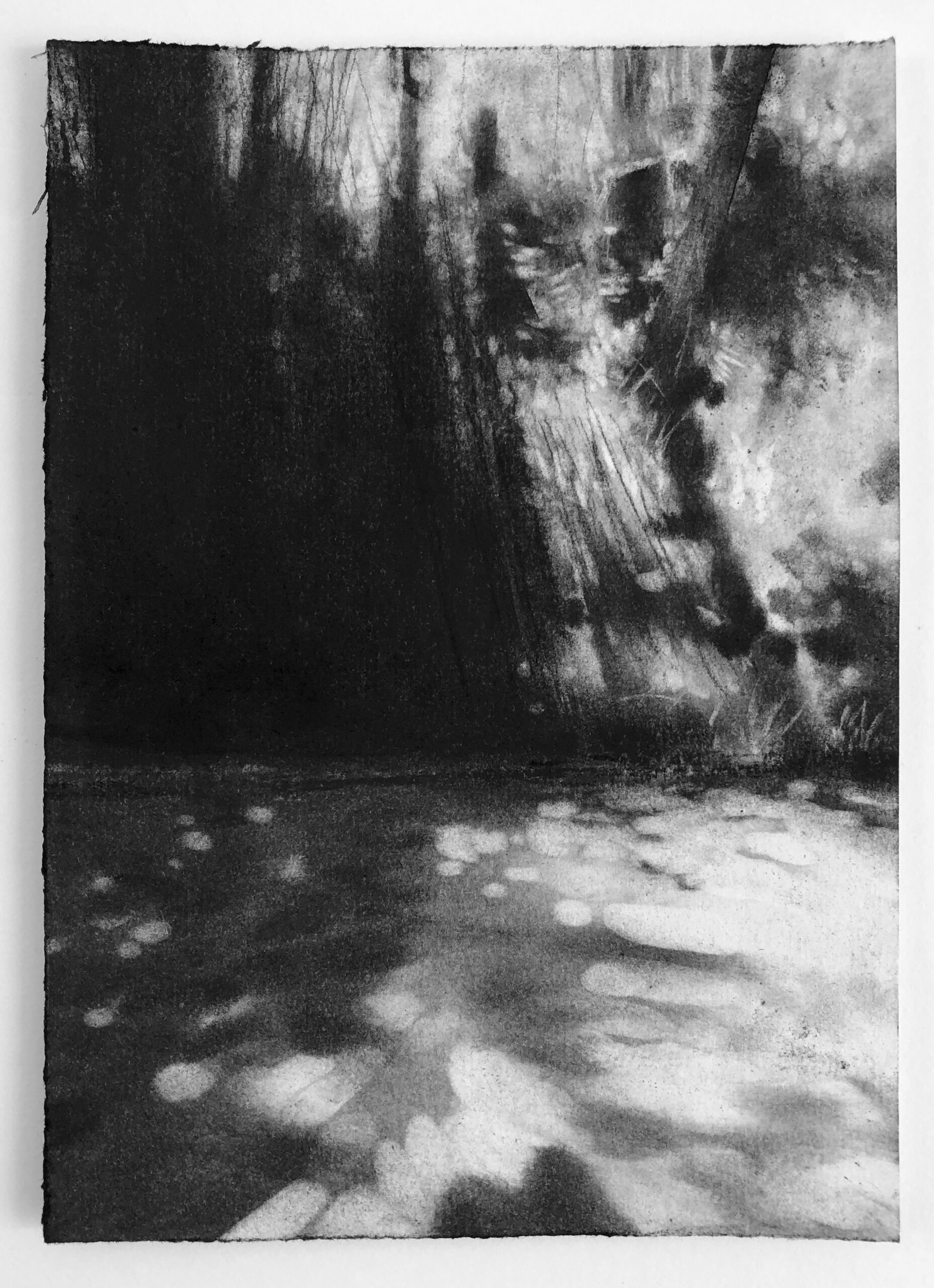 Kate Boucher-Drawing with Charcoal