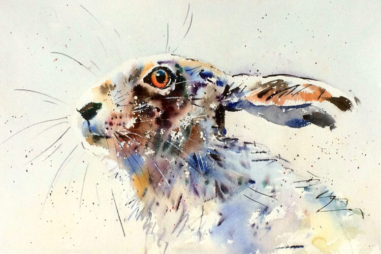 Jake Winkle –  Going wild in watercolour